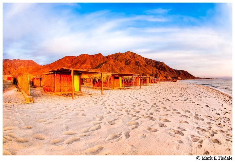 Egypt Beach Photo - The Red Sea