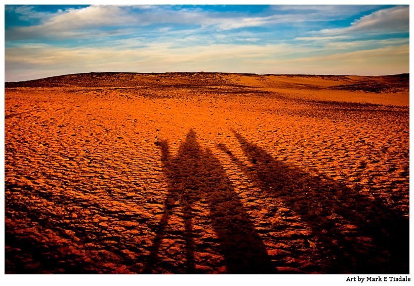 Picture of Camel Shadows stretching across the Sahara in Egypt Egyptian photo - Camel Shadows on the Sahara