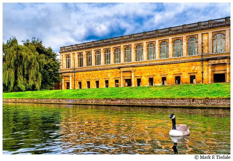 Photo taken while punting on the river Cam - Cambridge England