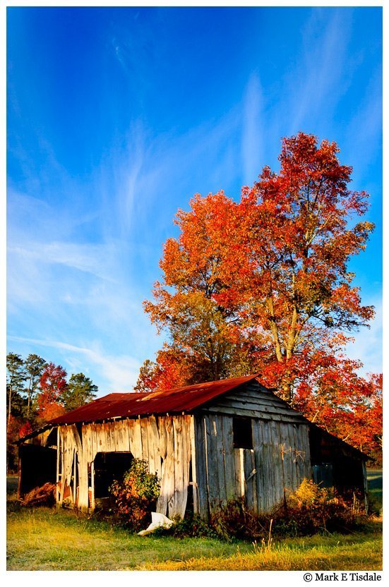 Photo of an old shed in North Georgia in the Autumn