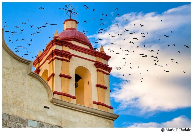 Picture of birds flying from a church tower in the Mexican town of Oaxaca
