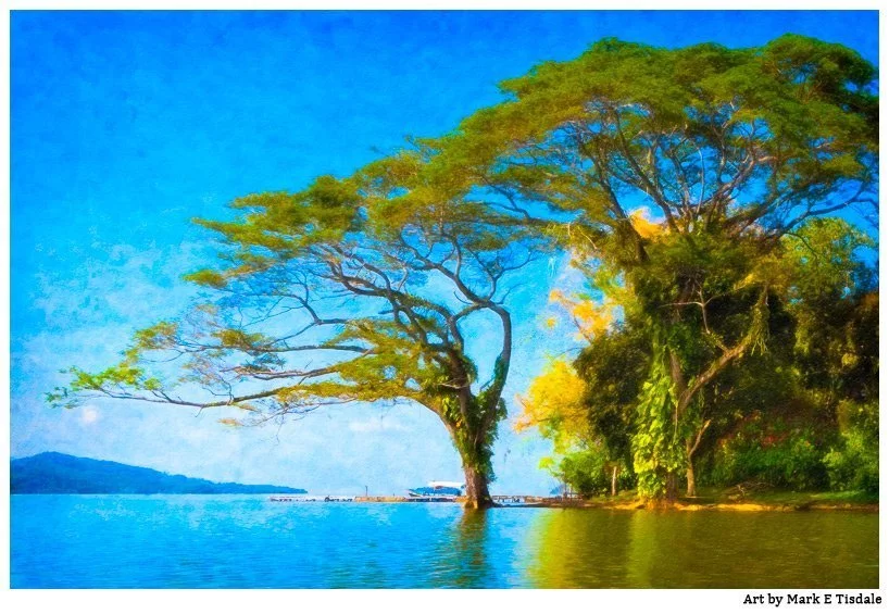 Graceful Trees flowing into the blue waters of Lake Nicargua - Textured Photo Art