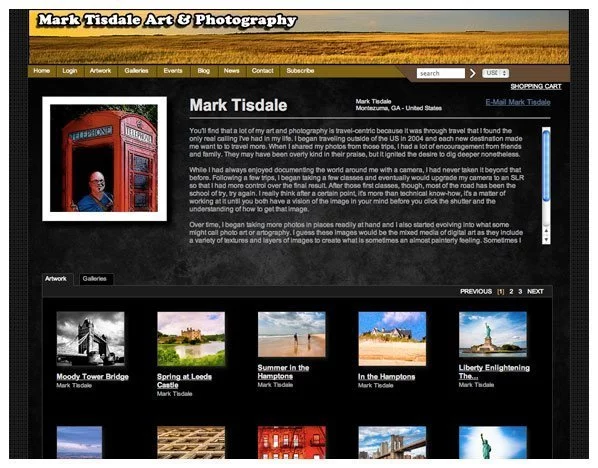 Screenshot of my Artist Website courtesy of Fine Art America