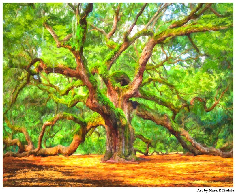 Angel Oak Wall Art - South Carolina Print by Mark Tisdale