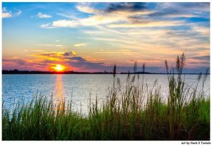 Savannah River Sunrise - Georgia Coast Landscape Print by Mark Tisdale