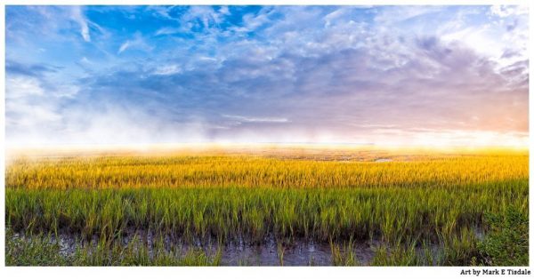 Tybee Island Coastal Marsh - Dramatic Landscape Panorama - Georgia Coast Print by Mark Tisdale