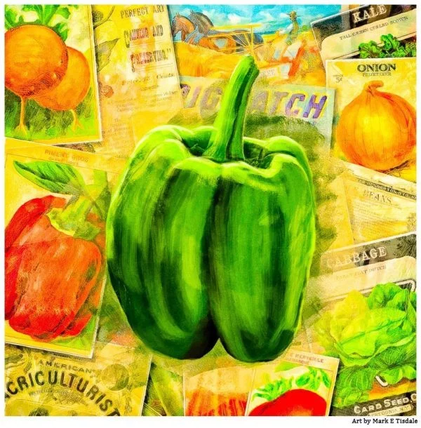 Green Bell Pepper - Vintage Collage Art Print by Mark Tisdale