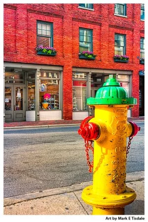 Colorful Fire Hydrant on the streets of Asheville North Carolina - Print by Mark Tisdale