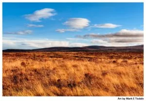 Culloden Moor Print by Mark Tisdale - Golden Scottish Highlands Landscape
