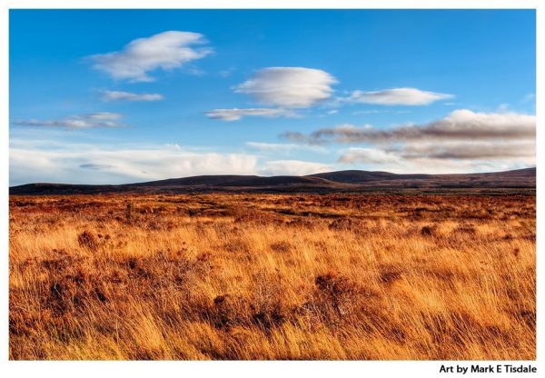 Culloden Moor Print by Mark Tisdale - Golden Scottish Highlands Landscape