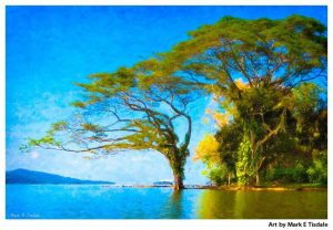 Fantasy Tree Art Print - Lake Nicaragua Print by Mark Tisdale