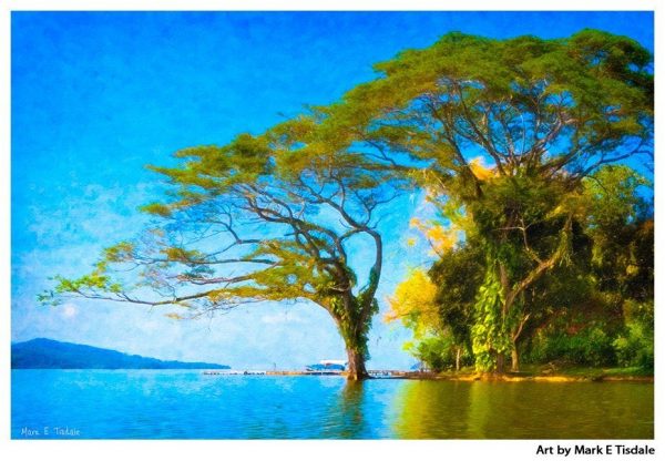 Fantasy Tree Art Print - Lake Nicaragua Print by Mark Tisdale