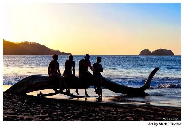 Driftwood On The Beach - Friends Relaxing at sunset - Print by Mark Tisdale