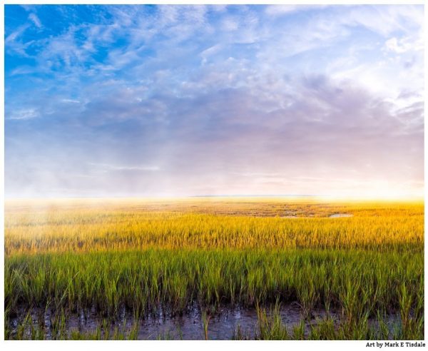 Coastal Marshes On The Georgia Coast Near Tybee Island - Landscape Print by Mark Tisdale