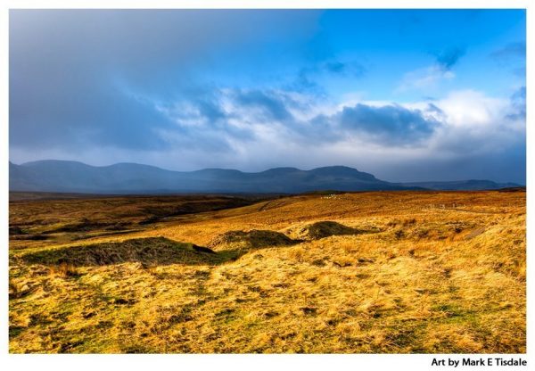 Golden grass landscape on the Isle of Skye - Scotland Print by Mark Tisdale