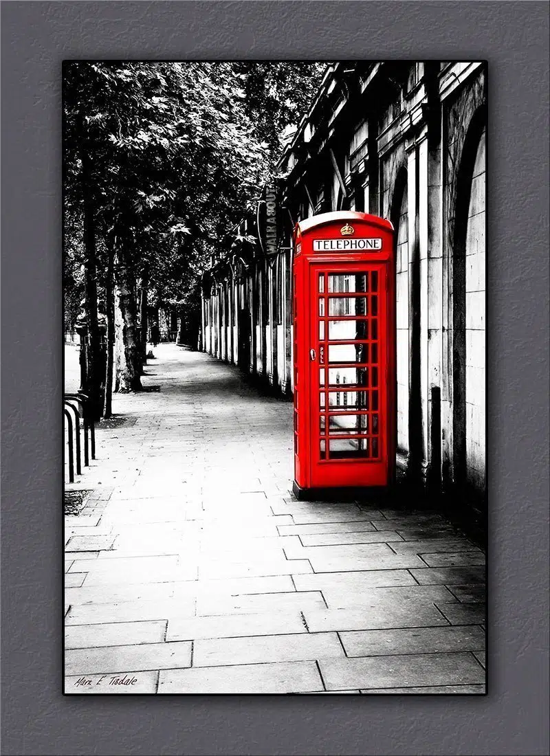 Red Telephone Box Canvas Print