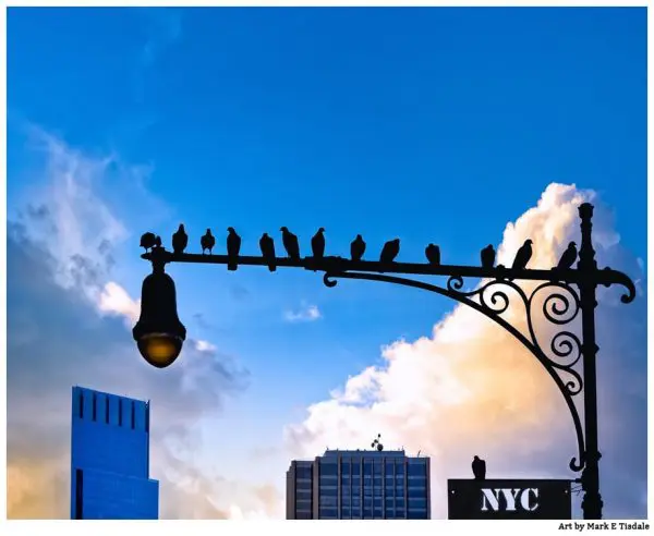 Birds Roosting On A New York City Lamppost - Manhattan Print by Mark Tisdale