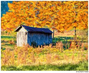 Rustic shed And Fall Colors - North Georgia Landscape Print by Mark Tisdale
