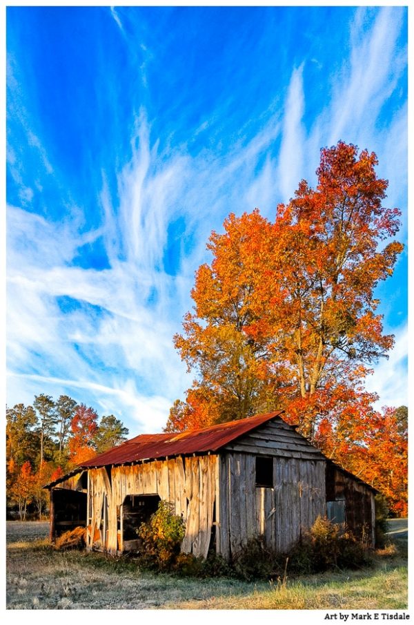 Rustic wood farm shed - Fall in North Georgia Print by Mark Tisdale