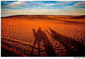 Sahara Desert  Camel Shadows Landscape Print by Mark Tisdale