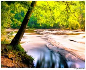 Sweetwater Creek - North Georgia Landscape Print by Mark Tisdale