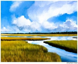 Cape Cod Salt Marsh Landscape Art