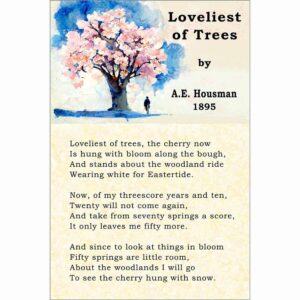 A.E. Housman - Loveliest of Trees Poem Art Print
