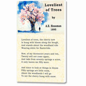 A.E. Housman - Loveliest of Trees Poem Canvas Print