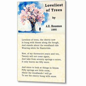 A.E. Housman - Loveliest of Trees Poem Metal Print