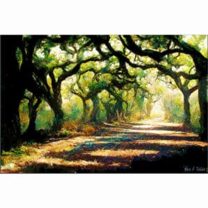 A Forest Path - Georgia Landscape Art Print