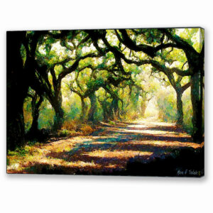 A Forest Path - Georgia Landscape Canvas Print