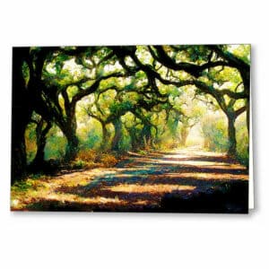 A Forest Path - Georgia Landscape Greeting Card