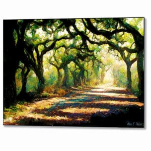 A Forest Path - Georgia Landscape Metal Print