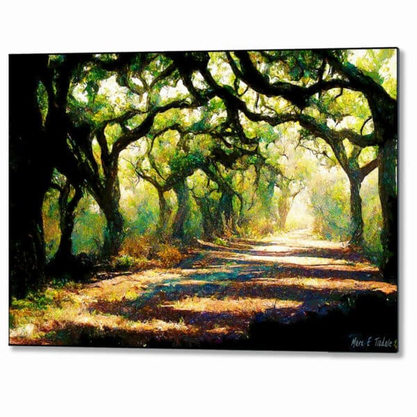 a-forest-path-georgia-landscape-metal-print.jpg