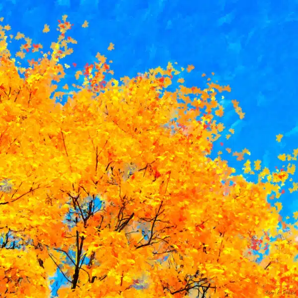 colorful-abstract-fall-leaves-art-print.jpg