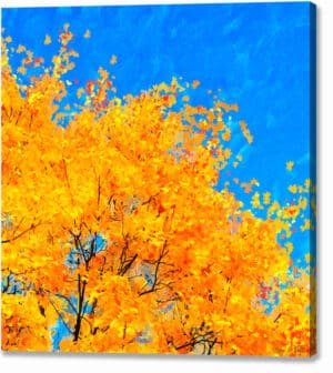 Colorful Abstract - Fall Leaves Canvas Print