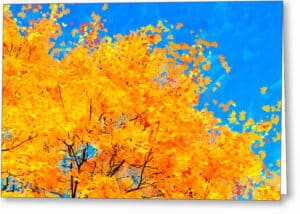 Colorful Abstract - Fall Leaves Greeting Card