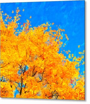 Colorful Abstract - Fall Leaves Metal Print