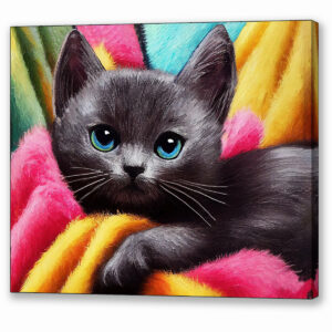 Dark Grey Kitten - Cute Cat Canvas Print