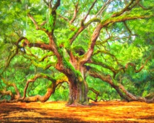Enduring Angel Oak - South Carolina Landscape Art Print