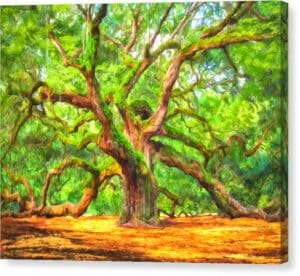 Enduring Angel Oak - South Carolina Landscape Canvas Print