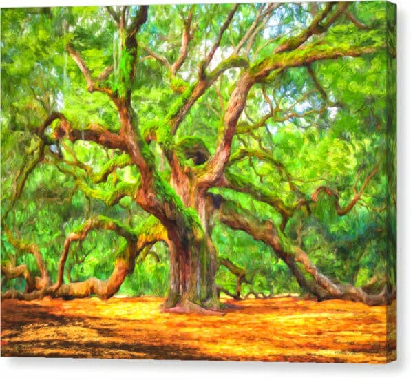 enduring-angel-oak-south-carolina-landscape-canvas-print-mirror-wrap.jpg