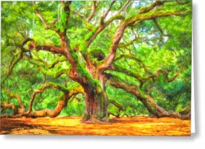 Enduring Angel Oak - South Carolina Landscape Greeting Card