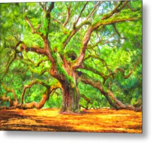 Enduring Angel Oak - South Carolina Landscape Metal Print