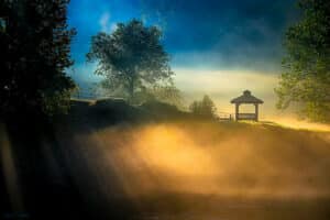Foggy Sunrise Landscape - Georgia Art Print