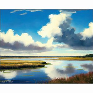 Georgia Coastal Salt Marsh - Cumberland Island Art Print