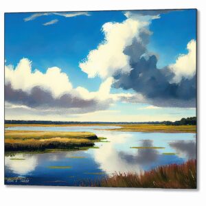 Georgia Coastal Salt Marsh - Cumberland Island Metal Print