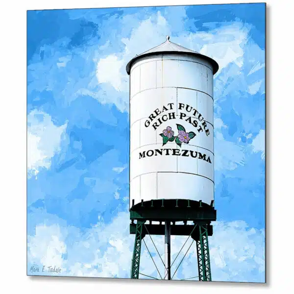 montezuma-water-tower-georgia-metal-print.jpg
