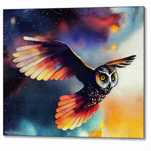Owl In Flight - Abstract Metal Print