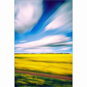 Rapeseed Field In Motion - English Landscape Art Print